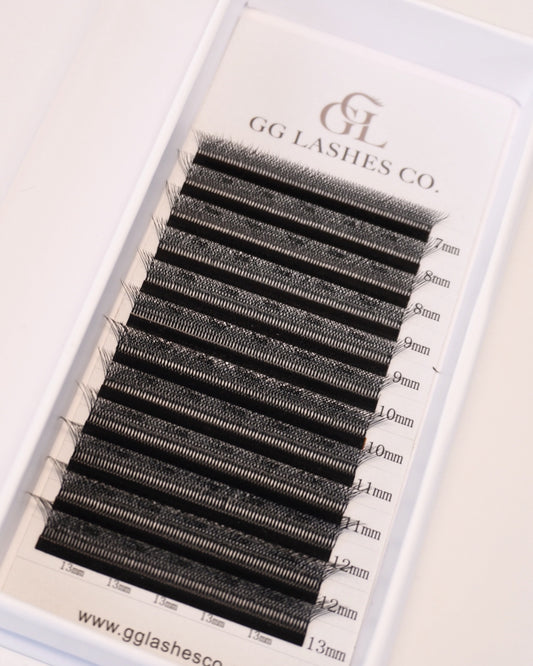 W-6D Volume Premade Fan Lash Extensions