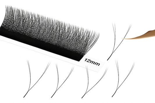 Y 0.07 Lash Extensions